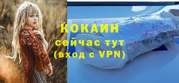 гидра Вязники