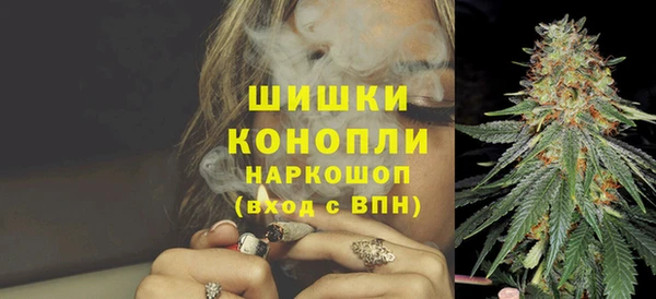 ПСИЛОЦИБИНОВЫЕ ГРИБЫ Вязьма